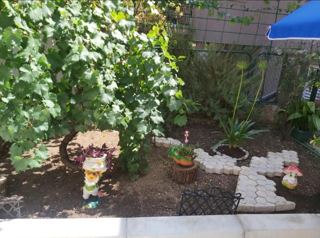 Apartment Marina كوتور المظهر الخارجي الصورة
